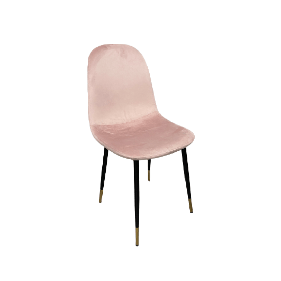 כסא אירוח - דגם אופק