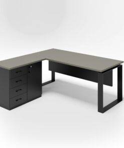 מערכת מנהל - דגם רועי כולל שלוחה ודלת