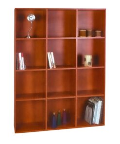 כוורת - 12 תאים