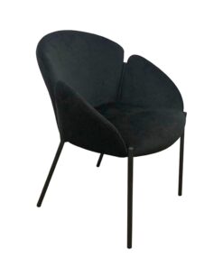 כסא אירוח - דגם אדוארד