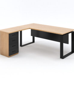 מערכת מנהל - דגם רועי כולל שלוחה