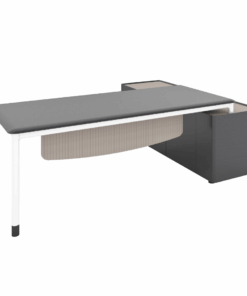 מערכת מנהלים - דגם סלפי 2 עם שלוחת כוננית רתומה